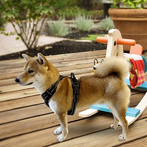 כלב צעצוע מצחיק / כלב צעצוע עם חורק / כלב מתנה / כיף, עמיד, ובטוח / חורק כלב צעצוע