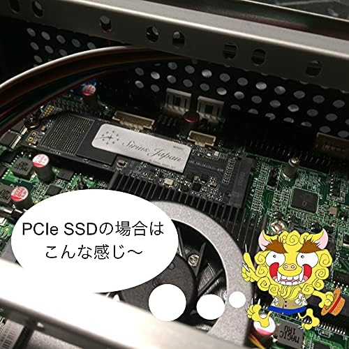 SIRIUS DSDM-256G SSD 256GB MSATA