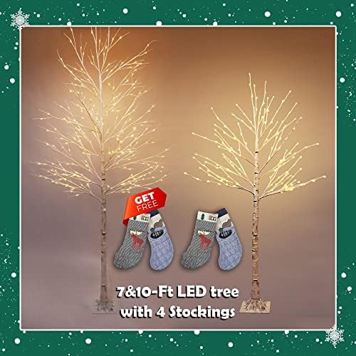 עץ חג המולד של אור LED מואר לפני מואר, משולבת בגובה של 10 מטר עם 240 נורות וגובה 7 רגל עם 160 נורות LED לבנות