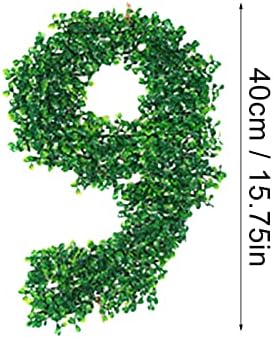 אבזרי צילום של יום האהבה קישוטי רקע למסיבה דיגיטלית של צמח דיגיטלי לוגו בן שנה אפקט תמונות דיגיטלי