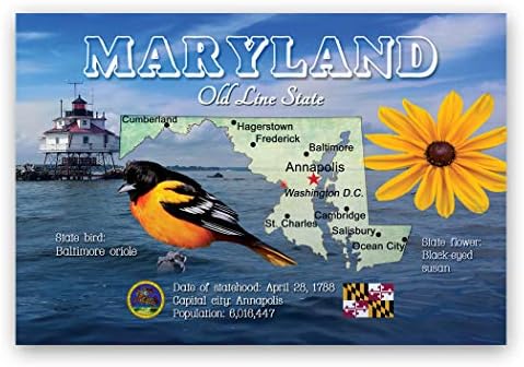 סט גלויה של מפת מרילנד של 20 גלויות זהות. MD State State Map כרטיסי פוסט. מיוצר בארהב.