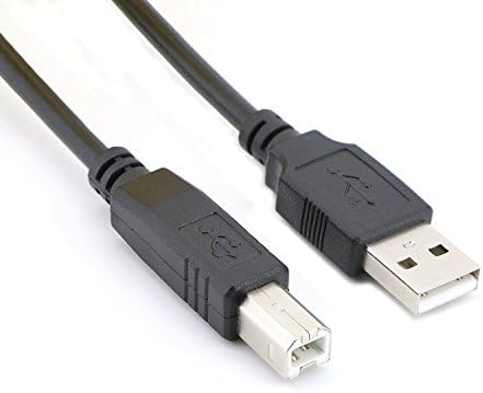Pasow USB 2.0 כבל זכר ל- B כבל זכר לסורק המדפסת