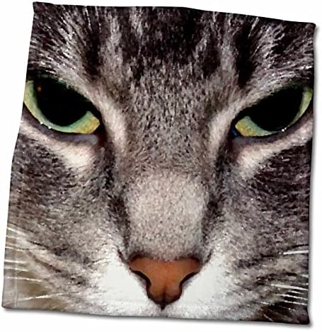 3 דרוז Cassie Peters חתולים - מקרוב פנים לחתולים - מגבות