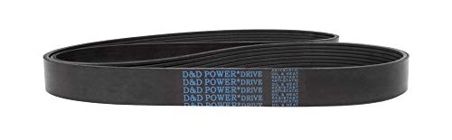 D&D Powerdrive 310J8 Poly V חגורה