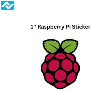 VIS VIVA RASPBERRY PI PICO W + מדבקת לוגו של Raspberry Pi