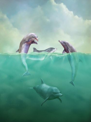 ברוסטר פיניקס 99449 דולפינים קיר לא ארוגים שהודבקו מראש, 8 מטר על 6 מטר