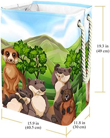 בעלי חיים יער Meerkat