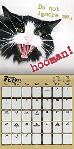 לוח השנה של Snarcatstic 2023 - Deluxe 2023 CAT WALL CANCLE CUNDLAN עם למעלה ממאה מדבקות לוח שנה