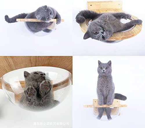 קיר רכוב חתול קפסולת חלל שקוף חתול מיטת מוצק עץ חתול בית מתן מקום לחתולים לשחק לחיות מחמד קיר ריהוט עבור