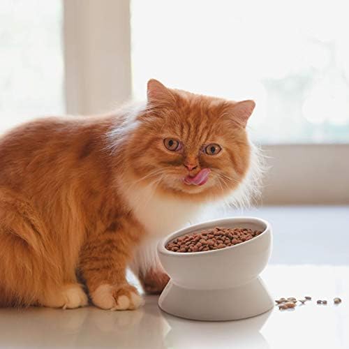 קערת מזון לחתולים מוגבהת, קערת מזון ומים לחיות מחמד מוגבהת, קערת חתול וכלב קטן, קערת מים לחתול קרמיקה