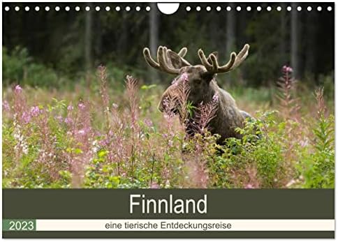 Finnland: Eine Tierische entdeckungsreise, Calvendo 2023 לוח שנה חודשי