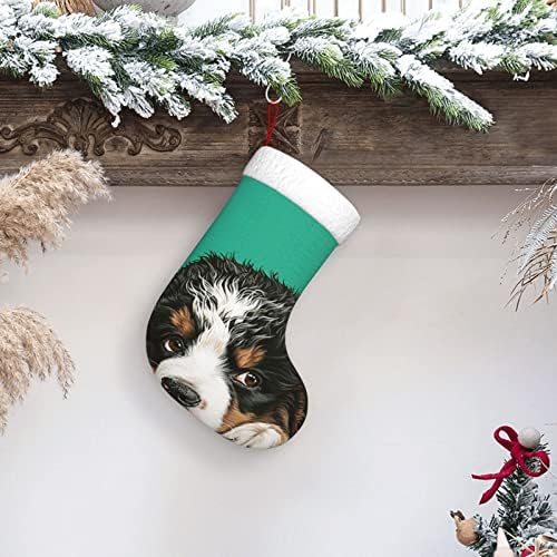 Waymay חמוד כלב הר ברנזה גרב חג המולד של 18 אינץ 'חג המולד תליה גרב גרבי קישוט חג קלאסי