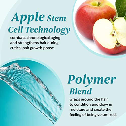 מרכך נפח Aloxxi כולל טכנולוגיית תאי גזע תפוחים - מרכך שיער לשיער יבש, עדין, חלש וצבע - מוסיף גוף