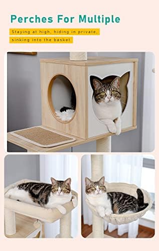 עץ חתול פטפלה עם מארז ארגז חול, מגדל חתולים מודרני 56.7 עם ארון אחסון ודירת חתול עץ מרווחת, עמוד