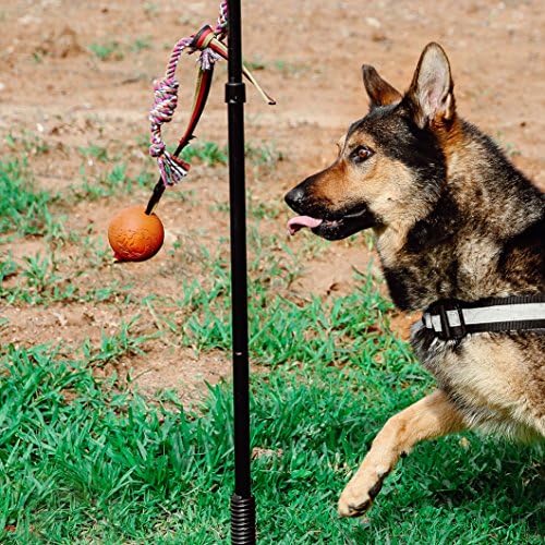 חוות היילנד בחר כלב נשלף אימונים אינטראקטיביים אימונים צעצועים - אימון אימוני ציות לחיות מחמד