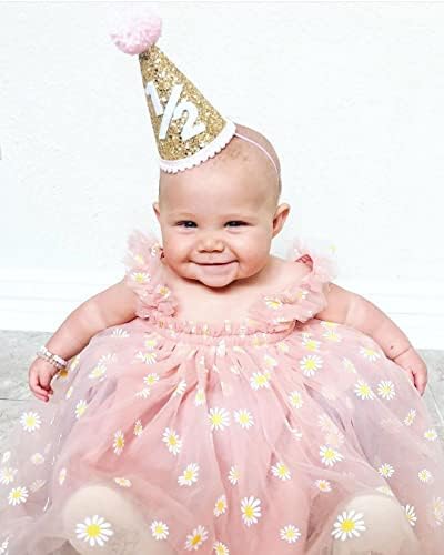 פעוטות תינוקת נשיקה טוטו שמלת שמלת שרוולים תושבי נסיכה כוכבים דייזי חיננית פרחונית טול סאנגס תלבושות