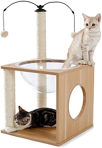 חתולי עץ קפסולת חלל אלגנטי פעילות קטן חתולי עץ עם צף קן תליית כדורי
