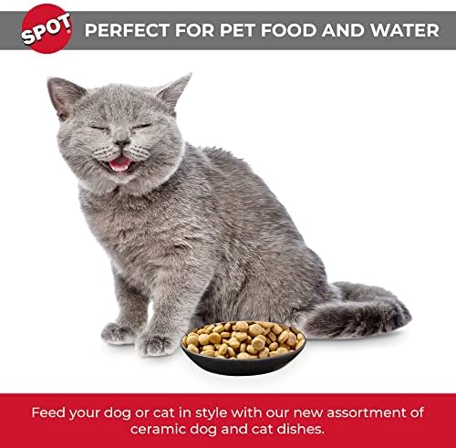 ספוט על ידי מוצרים אתיים-כבד קרמיקה מבריק כלב קערת חתול קערת עמיד כלב מזון ומים לחיות מחמד צלחת-מדיח