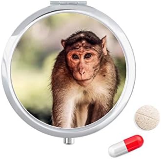 קוף יבשתי אורגניזם פראי בעלי החיים גלולת מקרה כיס רפואת אחסון תיבת מיכל מתקן