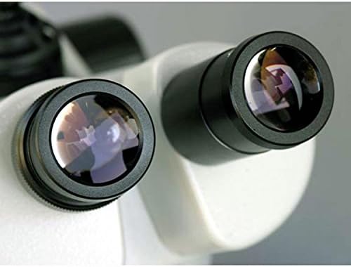 AMSCOPE SW-2B24 מיקרוסקופ משקפת, עיניים WH10X, הגדלה של 20X ו- 40X, 2X/4X אובייקטיבי, תאורת הלוגן