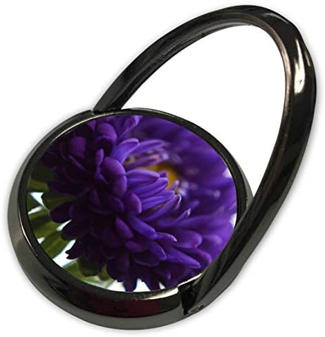 3 דרוז רובין הארט -פרחים - תמונה של פרח סגול - טבעת טלפון