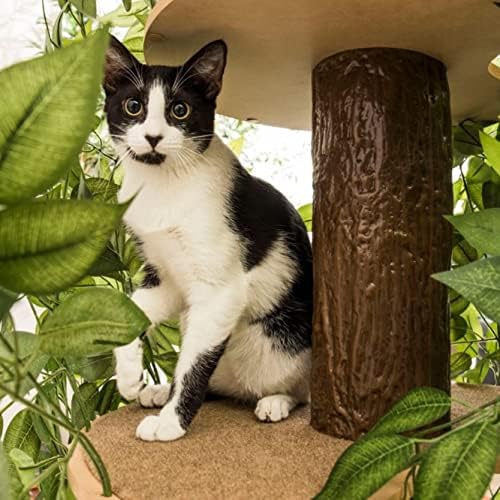 על2 חיות מחמד חתול עץ עם עלים תוצרת ארה ב, חתול בית & מגבר; חתול פעילות עץ, רב ברמת חתול דירה לחתולים מקורה