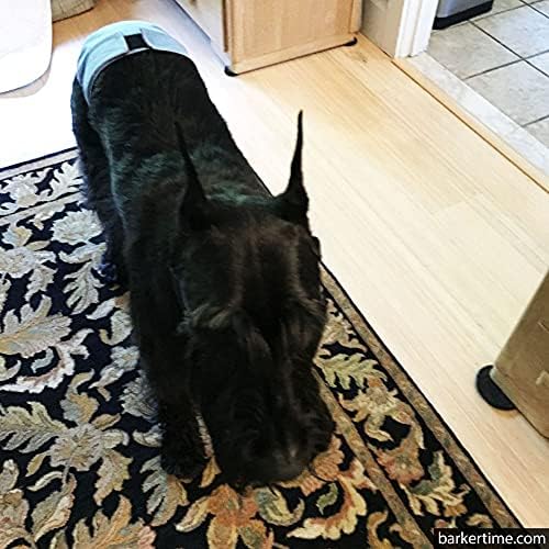 חיתול כלב פרימיום עמיד למים בברקטיים בייבי בלו, ענק, עם חור זנב-תוצרת ארה ב